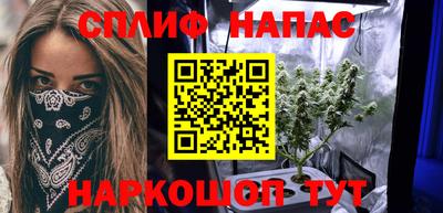 шишки Бузулук