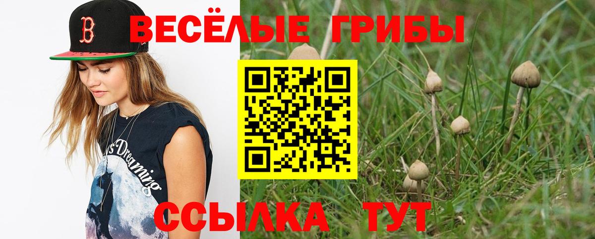 Псилоцибиновые грибы мухоморы Северск