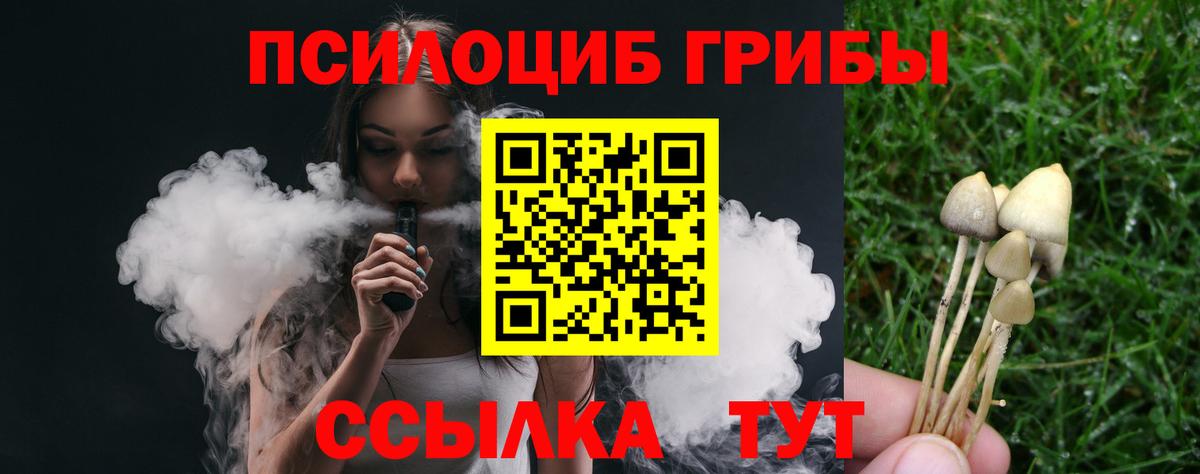 Псилоцибиновые грибы MAGIC MUSHROOMS  Вход с VPN  Псилоцибиновые грибы мухоморы  Северск 